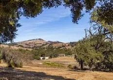 九游体育 -芗怎么读什么意思