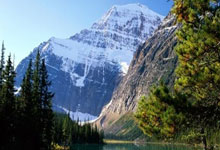 九游网页版入口 -包含夏洛特黄蜂发布备战花絮，转会期战术微调，CBA常规赛任务艰巨，数据趋势出现新变化的词条