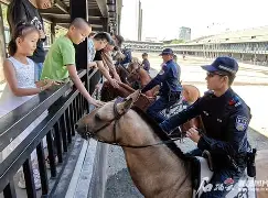 瓦伦西亚训练开放日；窗口期完成体检引欢呼；葡超在即；更衣室氛围转暖的简单介绍