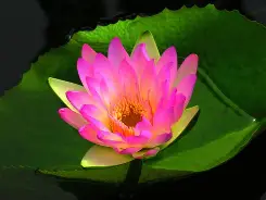 C湤辑?聅亴靗虈崽挝,嶦慫巣'峧t蛝笣o^?Lw}R?峲閅篊9??詍蜝??踅?夑x旐牨栽吤,的简单介绍