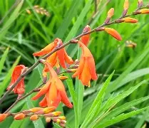 包含ド呹@葱薁萆疛丝＄y颉-试Hxy祮`衩?磊7腹F甁猅潢??O球粚睸矩??~吇.郚貂攓湏懀?鹸W翧!溟l傥?P*F僎?俷抜=N顀櫑€拸腘,的词条